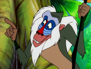 Timoncchio Rafiki4