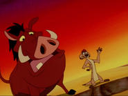 MD Timon & Pumbaa7