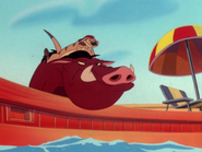 Roach Timon & Pumbaa24