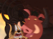 Timon and Pumbaa-2