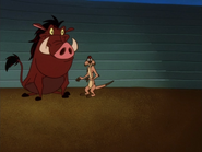 SSM Timon & Pumbaa16