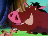 TZ Timon & Pumbaa24