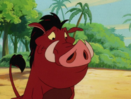 UBAE Pumbaa13