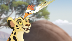 Ono fends off a leopard.
