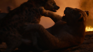 Lionking2019-animationscreencaps.com-11937