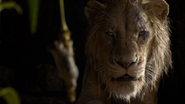 Lionking2019-animationscreencaps.com-603