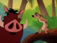 NE Timon & Pumbaa13