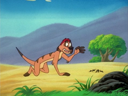 SH Timon & ants