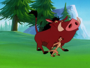 YR Timon & Pumbaa5