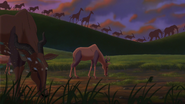 Lion-king2-disneyscreencaps.com-87