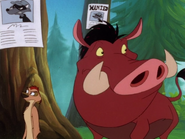 YR Timon & Pumbaa7