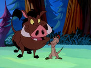 SC Timon & Pumbaa30