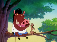 SYD Timon & Pumbaa18