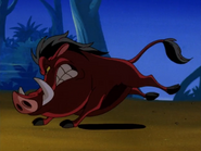 TA Pumbaa34