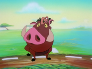 TZ Timon & Pumbaa22