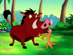 WNR Timon & Pumbaa25