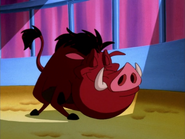 DHTVI Pumbaa11