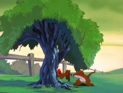 The foxhound searches for the fox.