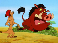 RFD Timon & Pumbaa18