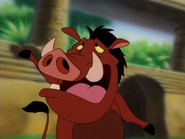 BJG Pumbaa22