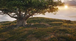 Mufasa-animationscreencaps.com-3369