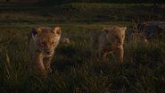 Lionking2019-animationscreencaps.com-3490