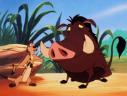 MAY Timon & Pumbaa6