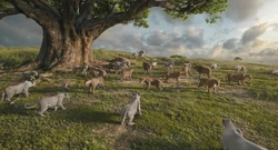 Mufasa-animationscreencaps.com-5490