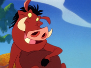 BOITO Pumbaa11