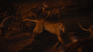 Lionking2019-animationscreencaps.com-11649