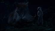 Lionking2019-animationscreencaps.com-8376