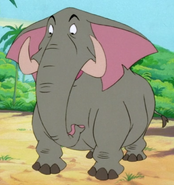 Ned the Elephant