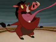 SSM Pumbaa34