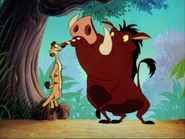 YYY Timon & Pumbaa4