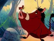 CMIYK Pumbaa & butterfly5