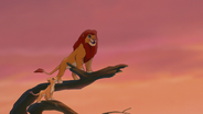 Lion-king2-disneyscreencaps.com-2073