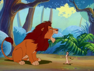 SYD Timon & Simba14