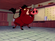 JWYTYCIA Pumbaa16