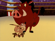 TYHITR Timon & Pumbaa24