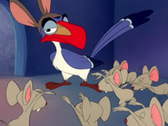 ZODO Zazu & mice