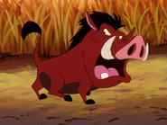 KBMF Pumbaa11