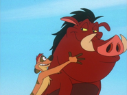 RFD Timon & Pumbaa8