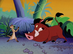 RITJ Timon & Pumbaa8