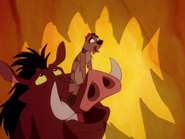 COLT Timon & Pumbaa41