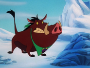 FA Pumbaa2