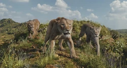 Mufasa-animationscreencaps.com-13113