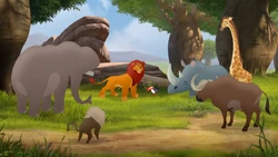 Simba presides over the Savannah Summit.