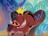 BB Pumbaa9