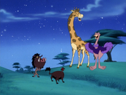 SD Timon Pumbaa giraffe & ostrich