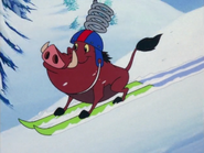 SP Pumbaa6